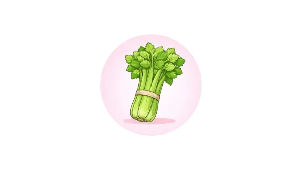 Celery nedir